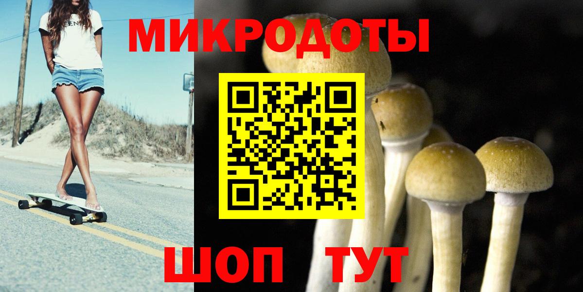 Галлюциногенные грибы GOLDEN TEACHER  Вход с VPN  Псилоцибиновые грибы MAGIC MUSHROOMS  Серов 